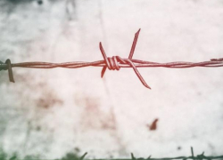 Только за сутки в Молдову не впустили 41 иностранцев