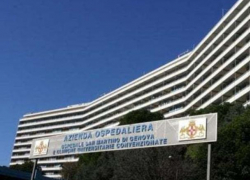 Молдаванин впал в анафилактический шок из-за укуса осы 