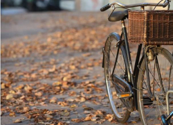 Понедельник в Молдове будет теплым и солнечным