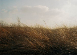 На Молдову идет циклон – в четверг будет тепло и ветрено 