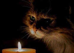 В пятницу без света останутся жители секторов Кишинева и ряда районов республики 