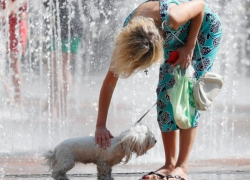 В Молдову возвращается африканская жара – погода на пятницу 