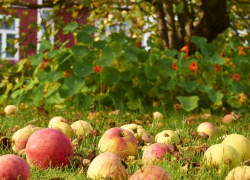 В Молдове будет жарко и ветрено: погода в четверг 