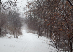 Автобус с гражданами Молдовы попал в ДТП в Одесской области 