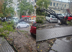 Дожди парализовали Кишинев: поваленные деревья, разбитые дороги и десятки поврежденных машин