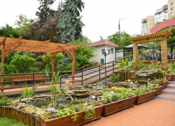 Не успел закрыться, как открылся. Кишиневский зоопарк продолжает принимать посетителей