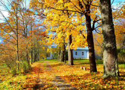 В среду в Молдове будет прохладно, затем нас ждет резкое потепление 