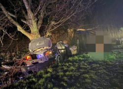 Машина врезалась в дерево в Ниспоренском районе - есть жертвы