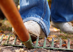 Мужчина превратил грабли в страшное орудие и изувечил женщину в Приднестровье 