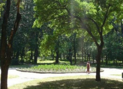 Первые результаты служебной проверки по факту гибели ребенка от упавшей ветки в Кишиневе