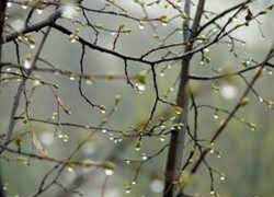 В пятницу в Молдове резко похолодает 