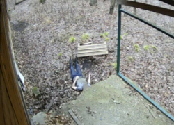 Пропавшего мужчину из Глодян нашли мертвым 