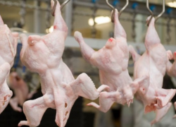 В Молдове запретили импорт куриной продукции из Винницкой области