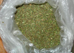 В Хынчештском районе остановили водителя с 300 граммами марихуаны в кармане