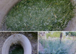 В Парканах мужчина "кормил" рыбу марихуаной