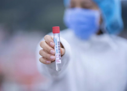 Минобразования: никто не уволился из-за ПЦР-тестов за свой счет