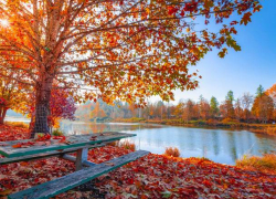 Погода в Молдове: в пятницу будет аномально жарко для конца октября 