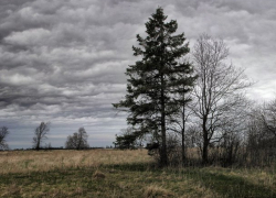 В ночь на пятницу ожидается до 10 градусов мороза: погода в Молдове 