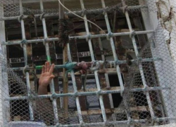 Попытку побега заключенных пресекли в Липканах