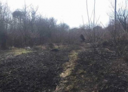 За минувшие сутки в Молдове сгорели 350 гектаров растительности