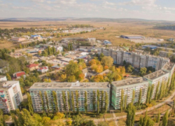 Шок: в Бельцах, во дворе жилых домов, освежевали собаку