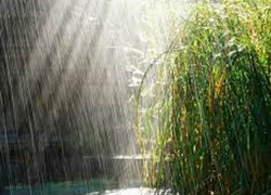 Дожди продолжатся – погода в Молдове на воскресенье 