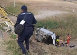 Микроавтобус упал с моста после того, как водителя атаковали пчелы 