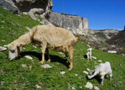 Суббота будет жаркой – погода в Молдове