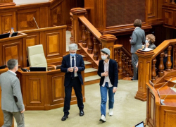 Вслед за Алайбой в зеленых штанах высокую моду в парламенте продемонстрировала Марчела Нистор