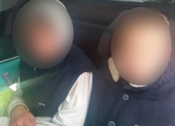 Попытку бегства из страны на украденной лошади предприняли двое подростков 