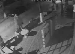 Вслед за бордюрами в Кишиневе начали воровать и декоративные деревья 