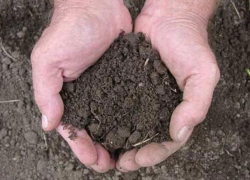 Иностранные «инвесторы» нацелились на молдавскую землю 