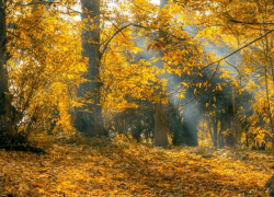 В пятницу в Молдове будет по-летнему солнечно 