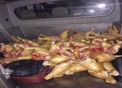 Опасные колбасы и мясо продавали жителям Кишинева на Центральном рынке