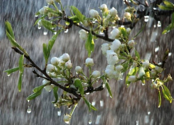 На Молдову идут дожди – погода в четверг 