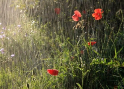 В четверг в Молдове будет жарко, но пасмурно  