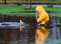 В субботу в Молдове будет пасмурно и дождливо  