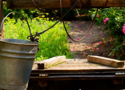 Колодезная вода в Молдове непригодна для питья, - НАОЗ