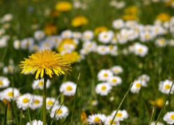 В четверг в Молдове будет очень жарко 