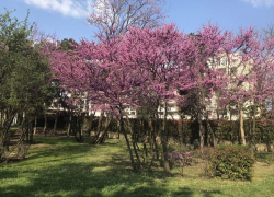 В пятницу в Молдове будет тепло и облачно, в выходные снова похолодает 