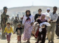 Британские журналисты через свой МИД "навязали" Молдове целый лагерь с беженцами