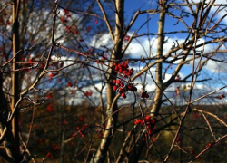 В субботу в Молдове будет тепло, ночью возможны дожди 