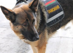 Молдаванина с наркотиками в ботинках задержали на границе с Россией