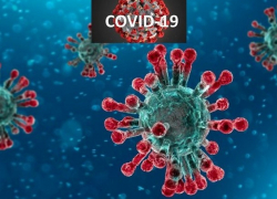 В Молдове +254 новых случая COVID-19 за субботу