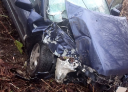 Травму головы получила дочь искавшей в сумочке телефон женщины за рулем иномарки под Бендерами