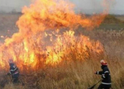 В минувшие 24 часа ликвидированы 37 возгораний растительности