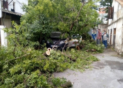 Минувшей ночью в Кишиневе упавшее дерево придавило машину