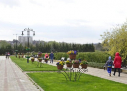 Подорожали прогулки в Дендрарии