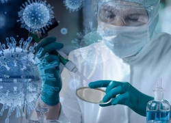 В Молдове подтвердилось 586 новых случаев COVID-19 