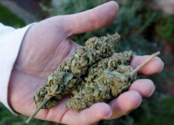 Торговавший наркотиками в Бричанах мужчина осужден на 4 года